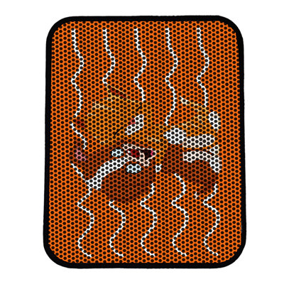 Tapis pour litière de qualité supérieure, 18 po x 24 po | 50% PVC / 50% polyester, lavable à la machine et passer l'aspirateur | Conception durable et facile à nettoyer pour les propriétaires d'animaux de compagnie | Protégez vos planchers des dégâts de la litière