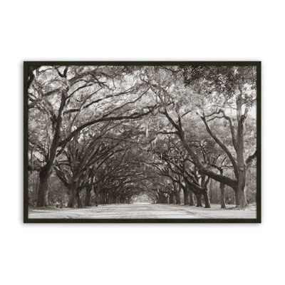 Georgia Stroll by Nathan Larson Art Print