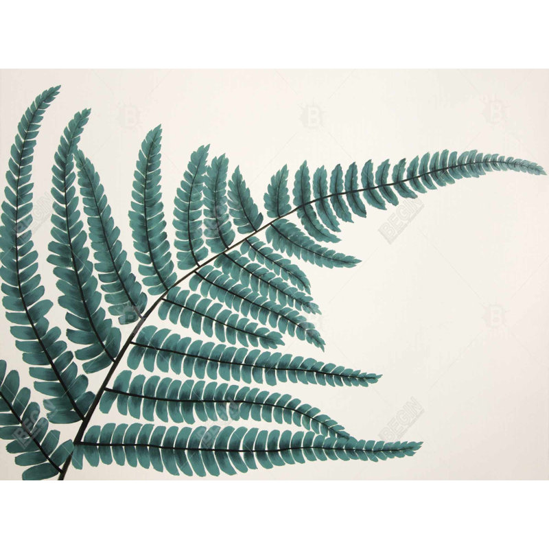 Fougère - toile botanique florale scandinave pour la décoration intérieure, H 48 po x l 36 po