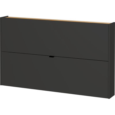 Nyack Shoe Storage Cabinet