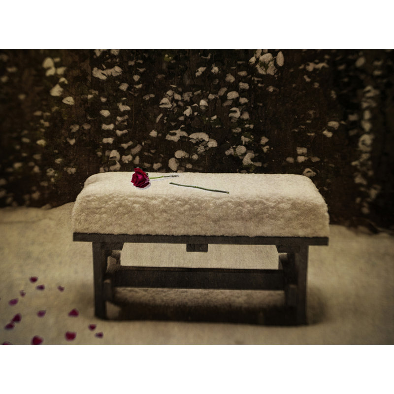 Roses In Snow Print by Robert Dodge, Black Framed Paper, 20" H x 16" W