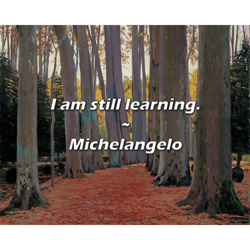 Michelangelo Quote: I am still learning.