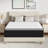 8"/10"/12" Plush Pillow Top Mattress - Sleep by Wayfair™-66575446-122530497