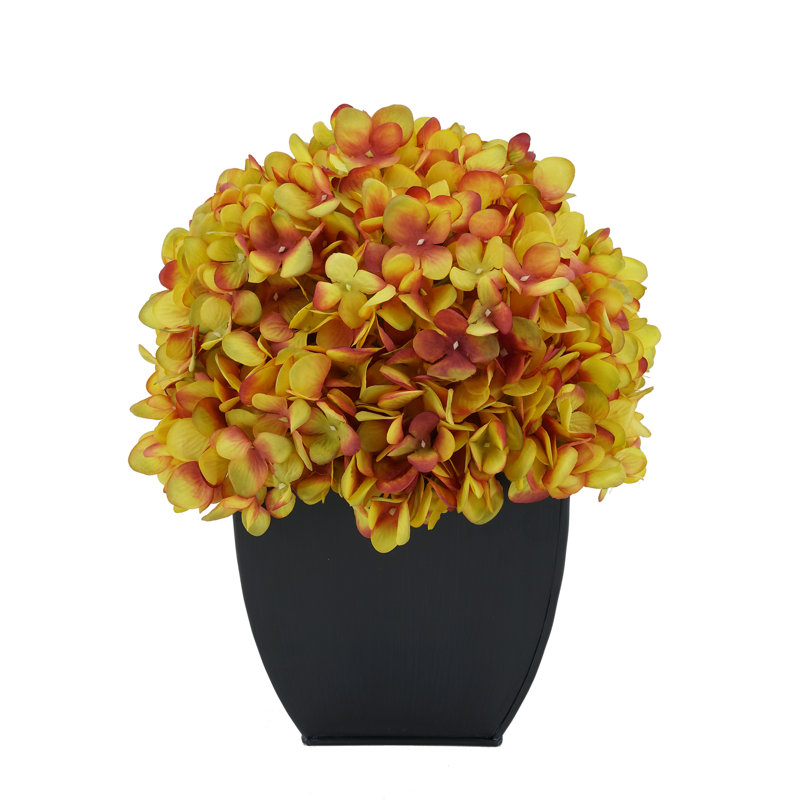 Arrangement floral hortensia en pot, Or
