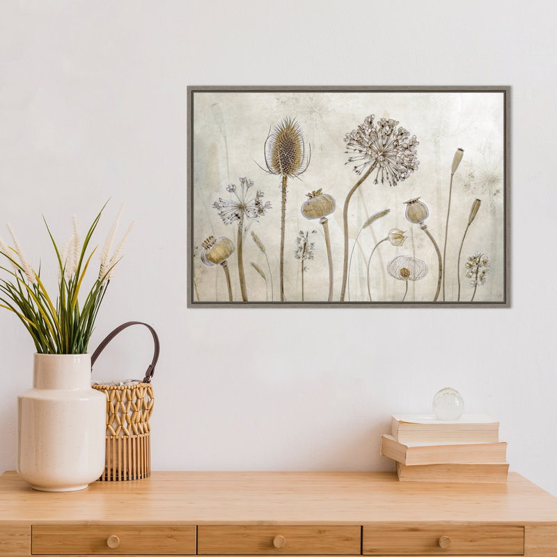 Reproduction d’art sur toile, "plants de graines florales de Mandy Disher" par Mandy Disher