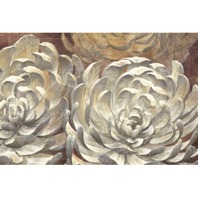 Succulents - Wrapped Canvas Art Prints