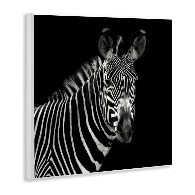 «Jungle Zebra Portrait» par Susan Bryant