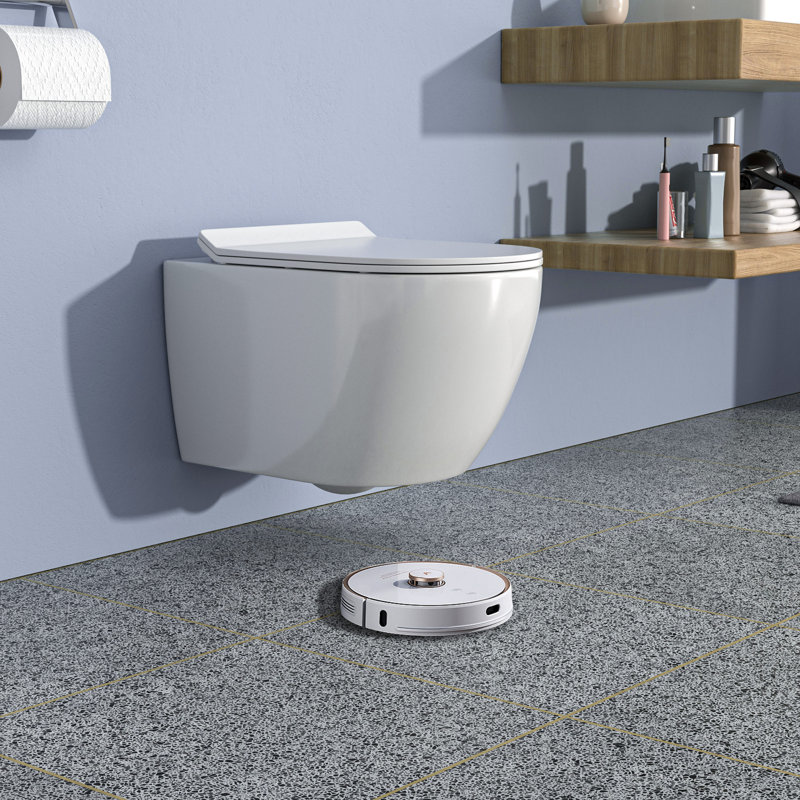 Rainlex RX-T40W One-Piece Wall Hung Toilet