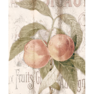 Vintage Fruit II - Painting Print