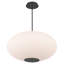 Illusion Dimmable LED Pendant With Oval Shaped Glass Shade, Adjustable Colour Temperature-86681431-86681430