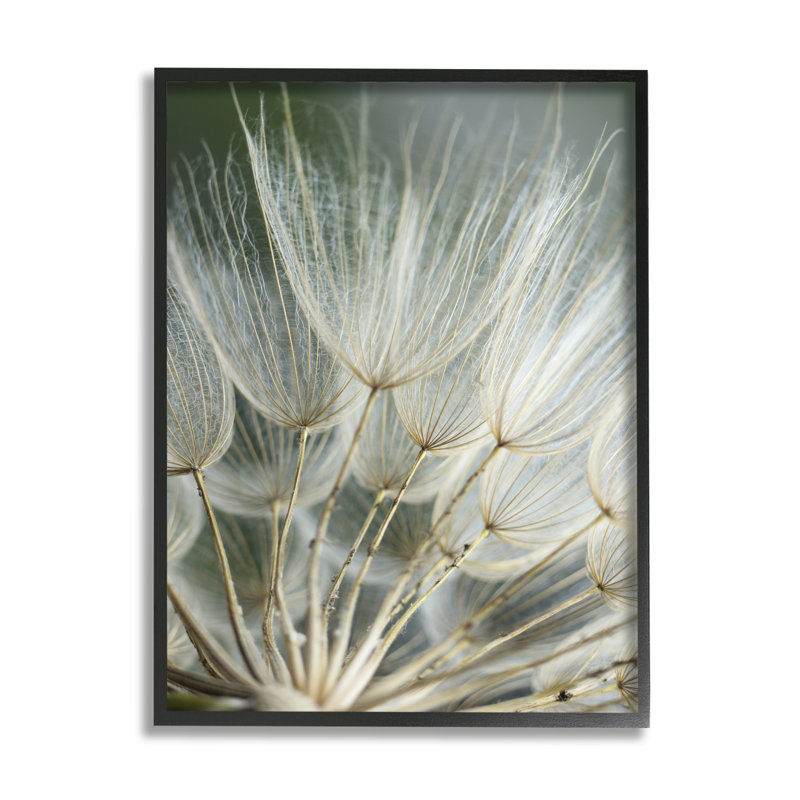 Az-398 - Imprimé pissenlit doux encadré, H 20 po x l 16 po x P 1,5 po, Giclée encadrée noir minuit