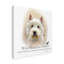« west highland terrier », reproduction d’impression sur toile tendue-26856636