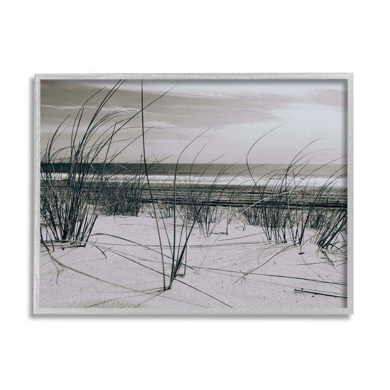 Photographie des dunes de l'océan par Graffi * Tee Studios, 16" H x 20" W, Estampe numérique Farmhouse