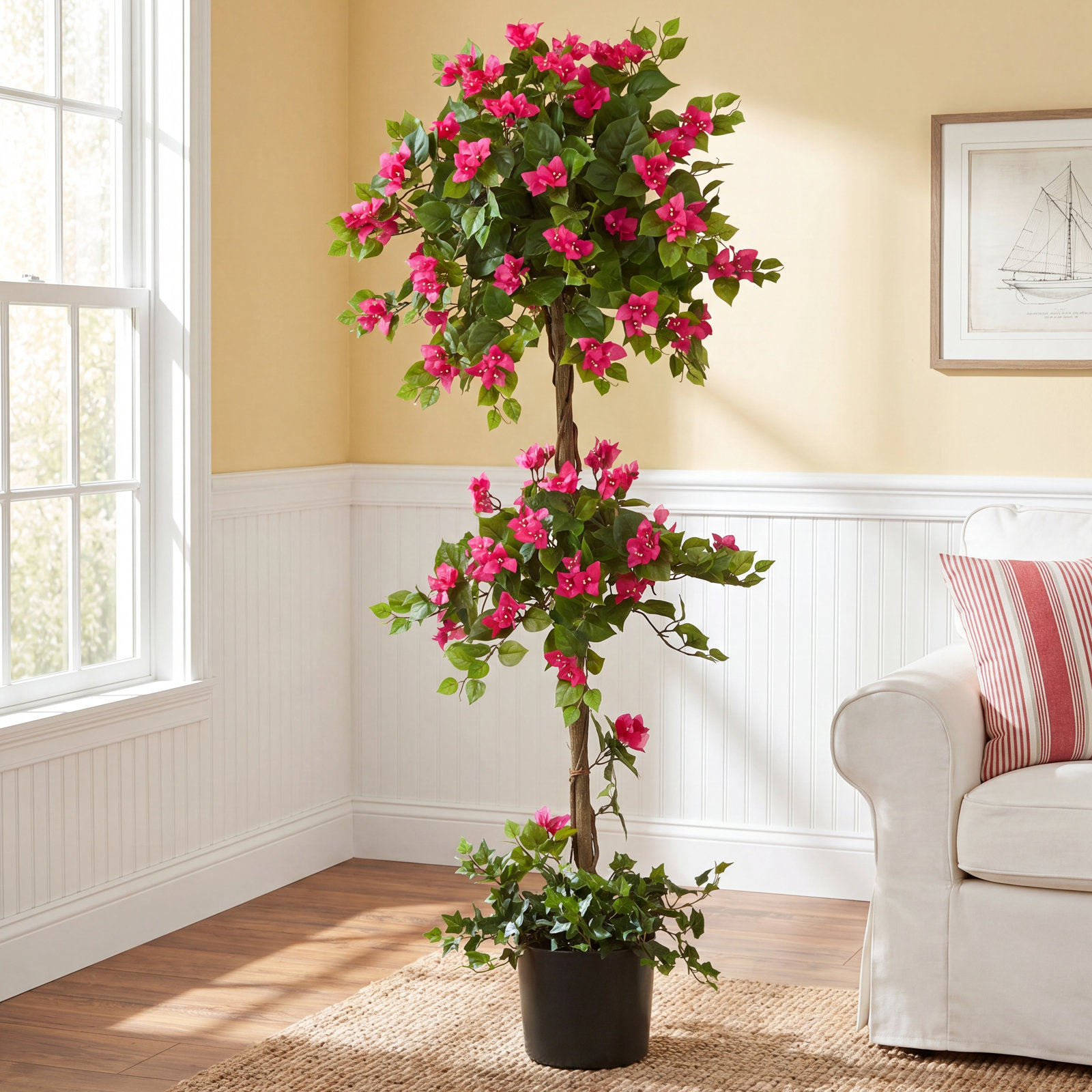 60" Bougainvillea Topiary in Planter