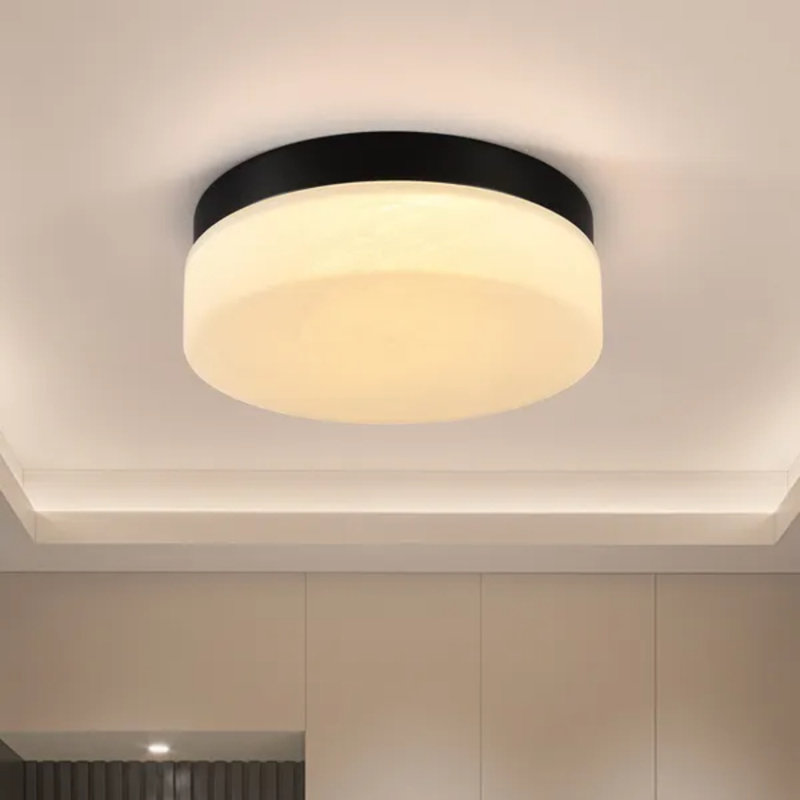 12 Inch 24w Led Flush Mount Ceiling Light, Round Low Profile Close To Ceiling Light For Bedroom Living Room Dining Room (black)