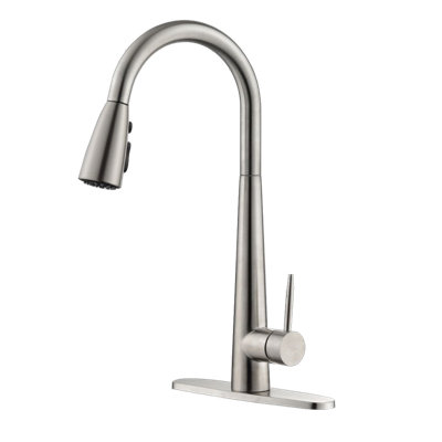 Toolmoo Pull Down Kitchen Faucet