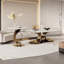 Table basse moderne simple ovale-104977459-104977458