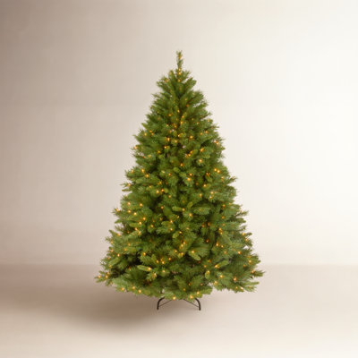 The Holiday Aisle® Winchester Pine Tree with Clear Lights