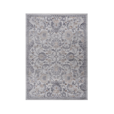 Collection Sand / Oriental Area Rug