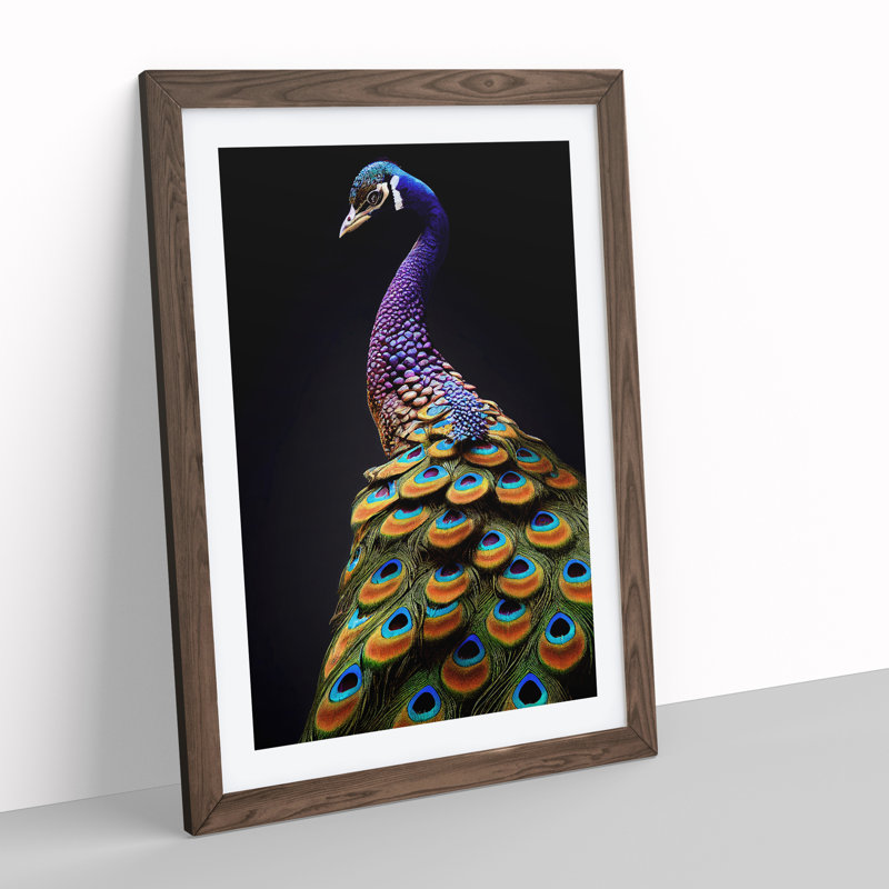 XV1022-159X A Stunning Peacock - Single Picture Frame Print, 34cm H x 25cm W, Brown