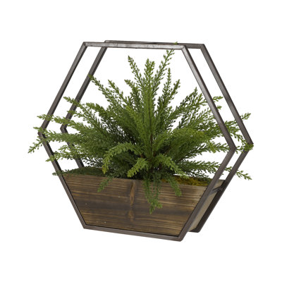 Plante à heather