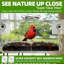 Window Bird Feeder With Non-marking Self-adhesive Hooks