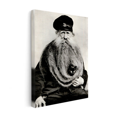 Chat en barbe