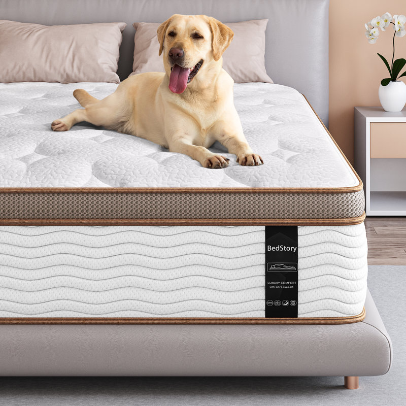 Bedstory 7-Layer Hybrid Mattress with Pocketed Coils & Dual-Zone Support - Cooling Gel Memory Foam, Certified, No Fiberglass