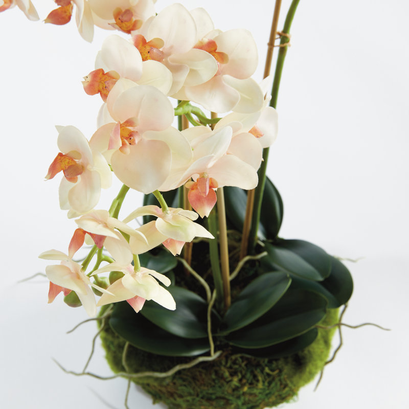 Light Pink Orchid 16" Mini Garden Drop-In