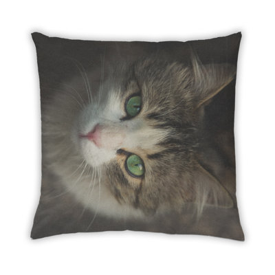 Coussin Cat Cats 57