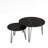 Nesting Coffee Table Set of 2-403485040