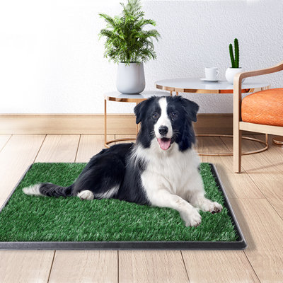 Pot portatif pour chien, système d'extérieur et d'intérieur pour chien, 25 * 20 pouces