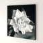 "Gardenia" par Debra VanS vêtementsingen, photographie de fleur sur toile tendue-1731950402-1665954837-1635099189