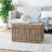 Whyte Wicker Trunk