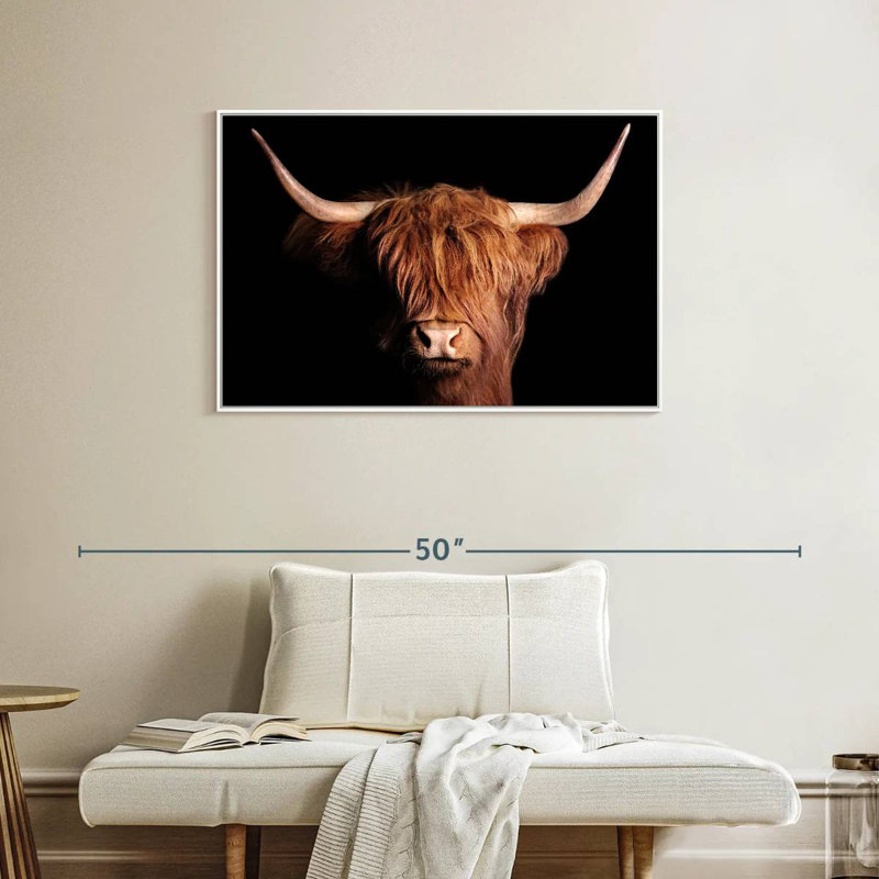 Vache écossaise Highland, Cadre flottant blanc, 37 po x 25 po