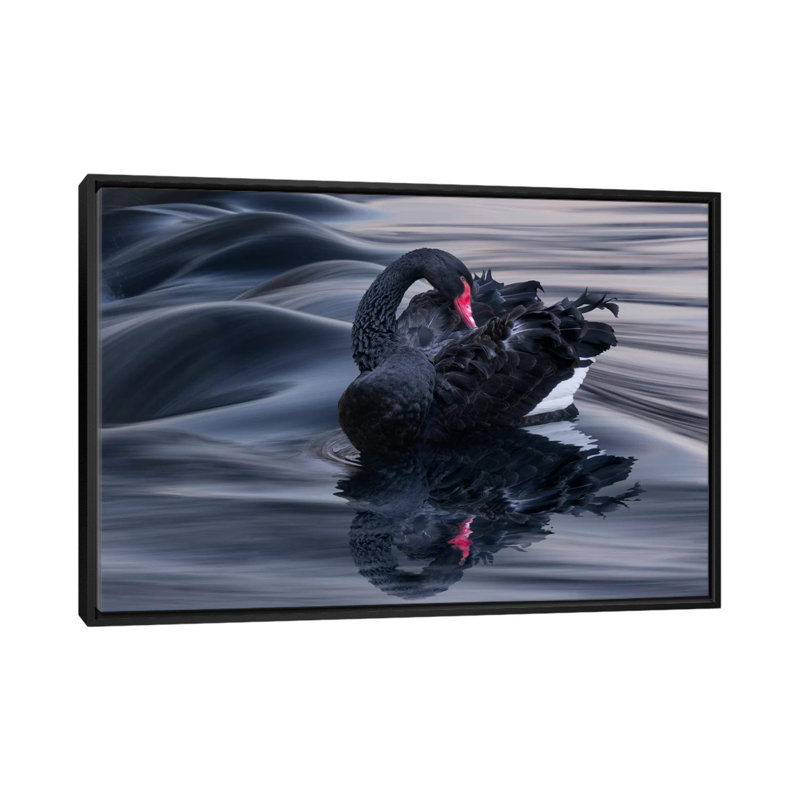 « black swan dunes », impression sur toile, H 18 po x l 26 po x P 1,5 po, Toile avec cadre noir