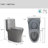 One-Piece 1.1/1.6 Gpf Dual Flush Elongated Toilet In Seat Included-102993146