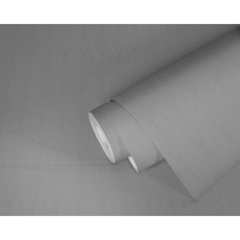 Rouleau de papier peint L 33 pi x l 21 po Concord, Gris / argenté