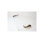Rectangle Decorative Tray