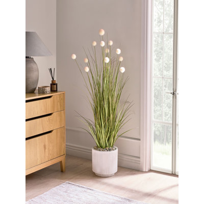 120cm Plant