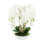 Orchid Floral Arrangement