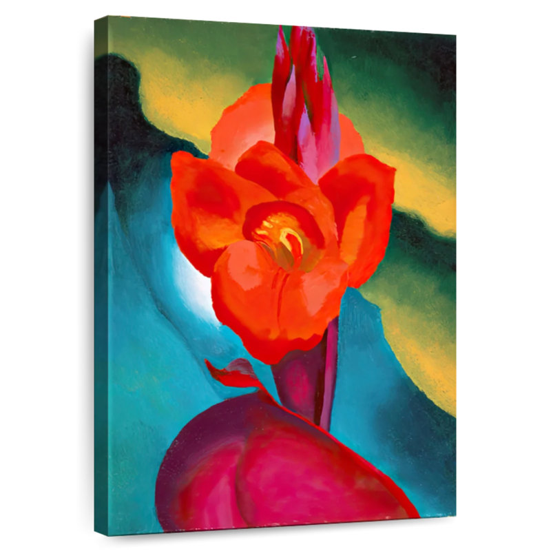 Harnek Red Canna 1919, H 48 po x l 32 po