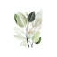 Forest Bouquet - Wrapped Canvas Print-967656510