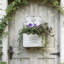 Jardinière murale vintage en métal pour plantes d'intérieur/d'extérieur, jardinière de style champêtre pour plantes et fleurs artificielles, décoration d'automne-214017577