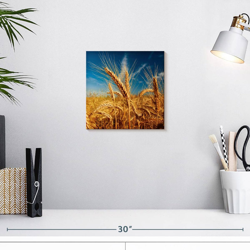 Harnek Spiky Wheat Ears, 10'' H x 10'' W
