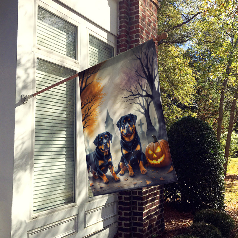 Drapeau de maison d'Halloween en polyester à double face H 40 po x l 28 po