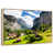 Floating Frame Natural Wood