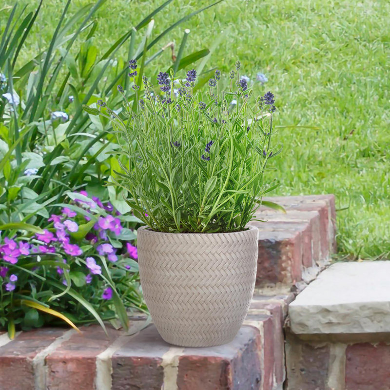 Idealist Plaited Style Round Planter Outdoor Plant Pot, Beige, 23cm H x 24cm W x 24cm D