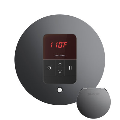 iTempo Round Steam Shower Control and Steamhead