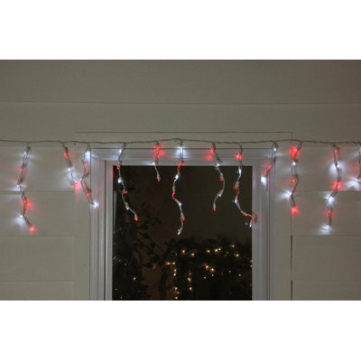 81'' String Lights